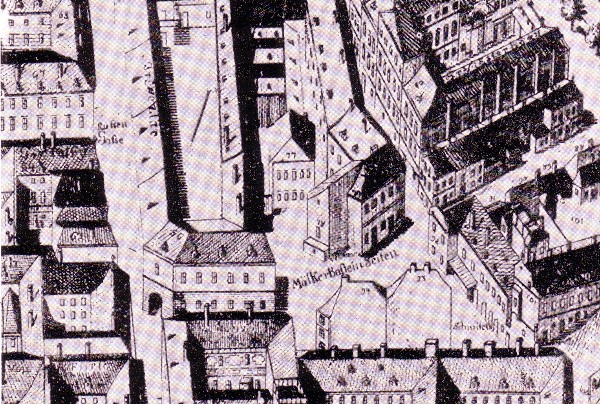 Im Haus Nr. 77 oder 78 wohnten 1785 Franz Anton und Genovefa von Weber. Ausschnitt aus Joseph Daniel von Huberts Vogelschauplan von Wien, innere Stadt (1785)